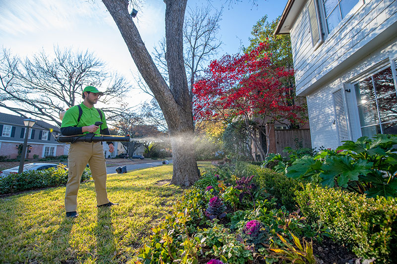 Nyc Mosquito Spraying A Timeline Of Events What You Need To Know Now - yzqfgen